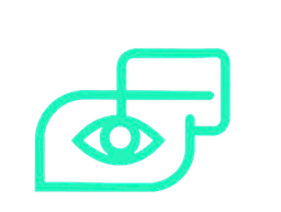 Computer Vision & Visual Intelligence